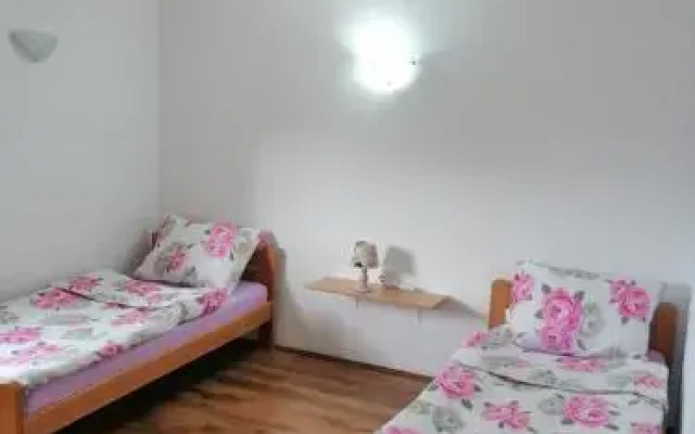 Peroj 100 C