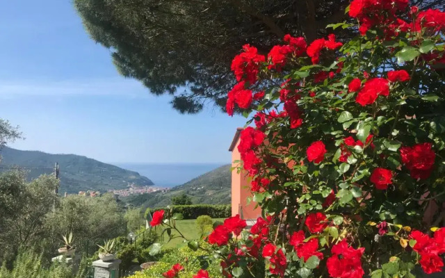 La Vignana - Cinque Terre