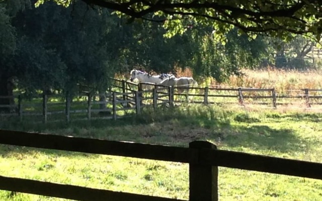 Grange Farm Bed & Breakfast