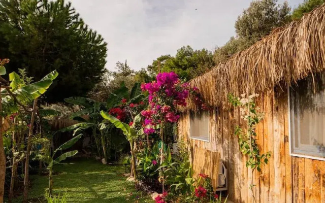 Begonvilla Bungalows