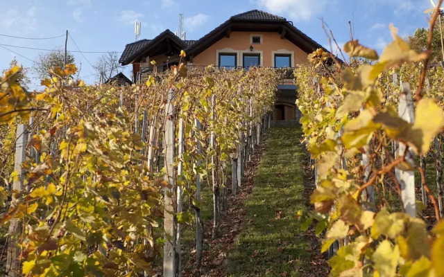 Vineyard Cottage Bregac