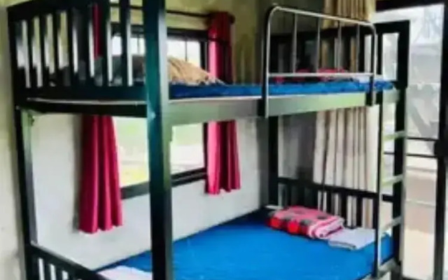 Yellowstone Cheewa View