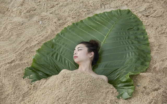 Natural Wing Health Spa & Resort