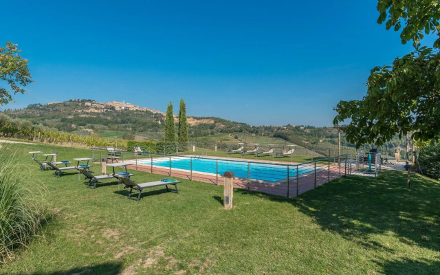 The Grapevine by MANVI