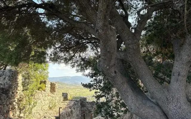 Affittacamere Belvedere - Posada