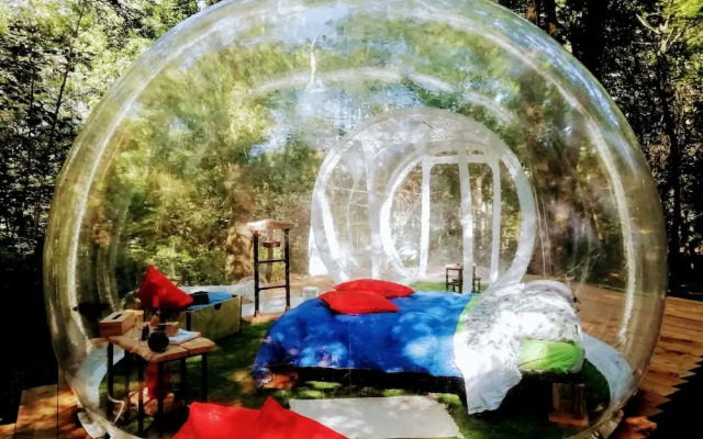 Future Is Nature Playground