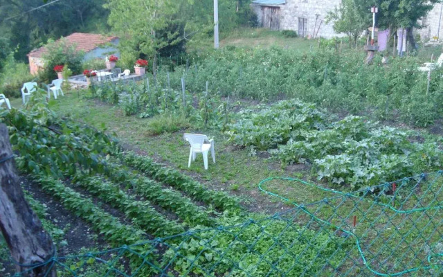 Agriturismo Il Casalone