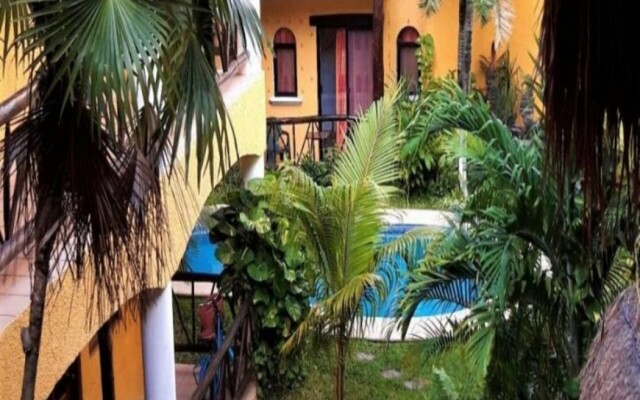 Hotel Bosque Caribe , 5th Av Zone