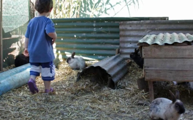 Rainbow Glen Self Catering Chalets