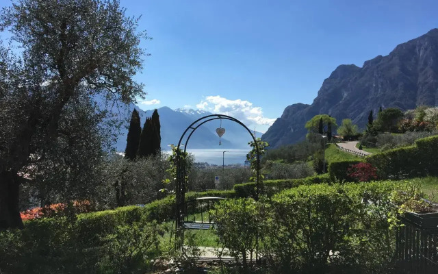 Verde E Panorama