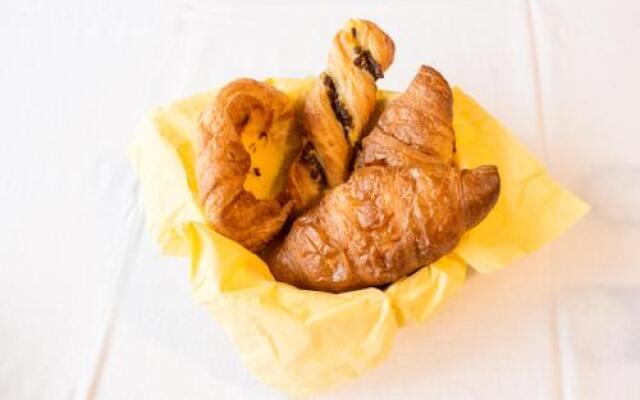 Vila Nicopole - art & wine