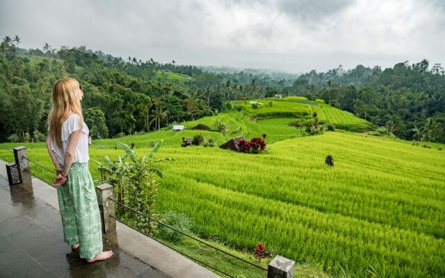 Village Above The Clouds
