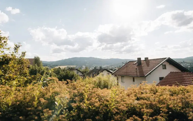 Holiday Home With Sauna in Viechtach