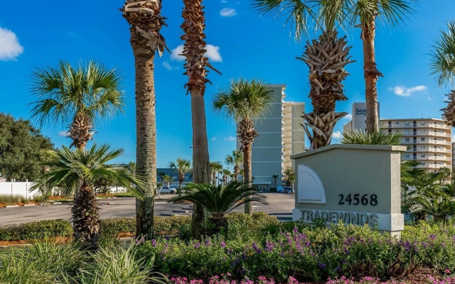 Tradewinds 1101 2 Bedroom Condo