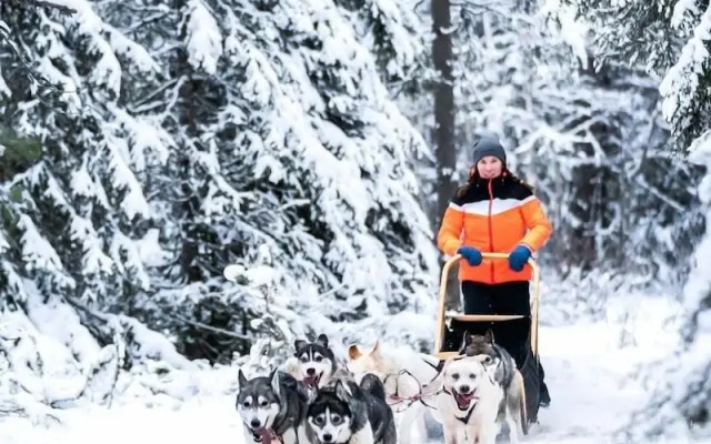 Ruka Safaris - Karhun Maja