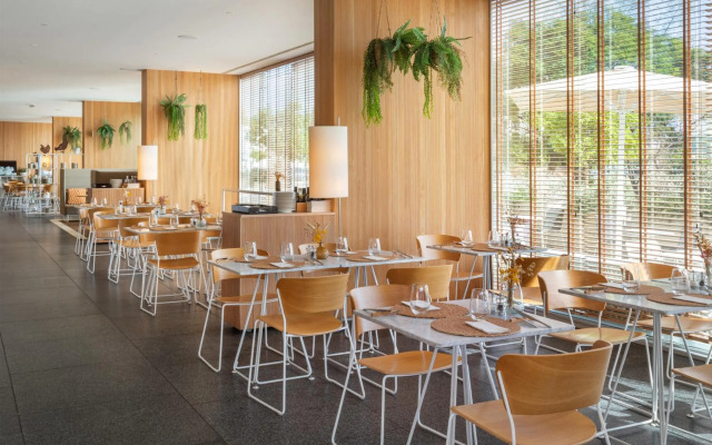 Отель Melia Palma Bay