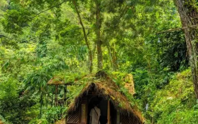 Kampung Rimba by Anrha