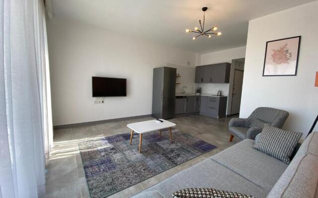 Hemera Suite