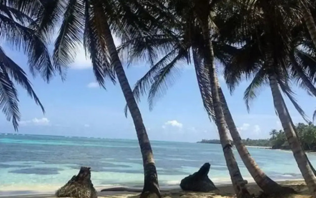 Las Palmeras Beachfront Hotel