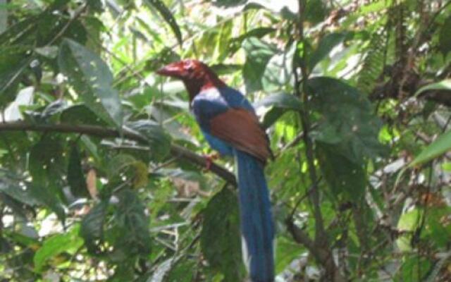 Handapan Falls - Holiday Resort