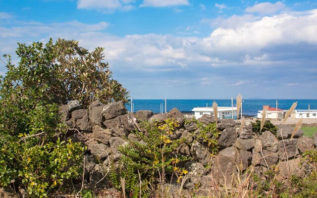 Jejucloudy Field House Pension