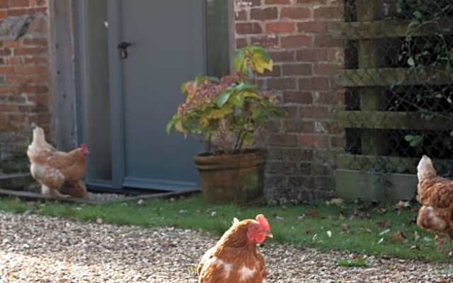 Street Farmhouse