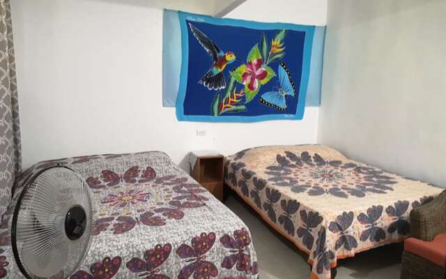 Blue Morpho House B&B