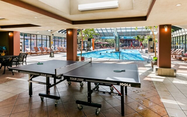 White Pines 1BD at Westgate