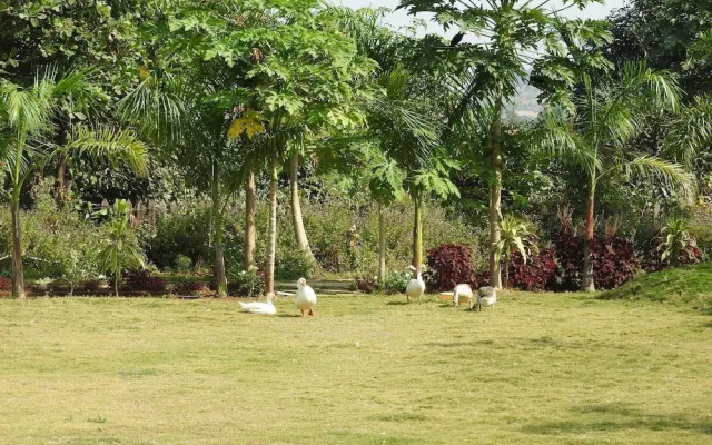 Nature Leap Resort
