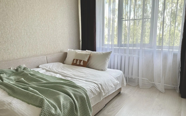 Доминго на улице Есенина 5