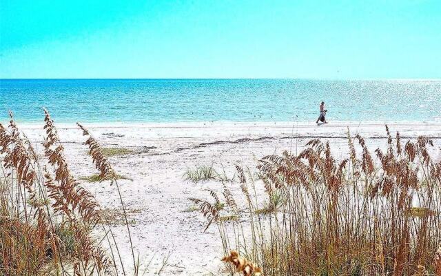 Sand Caper 202