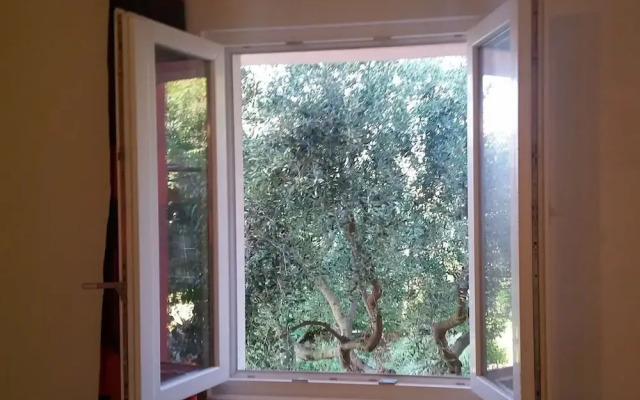 1 - Modern apt w big Garden & Terrace w. sea View