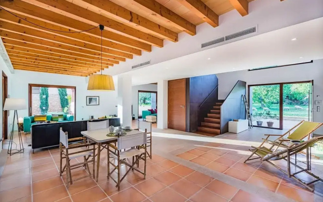 NEW 2020 - Empaltada