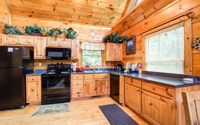 Cabin of Dreams