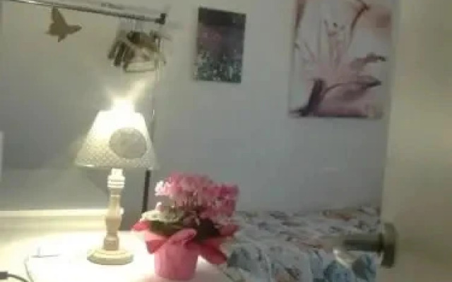 BB Solidale Il Giglio