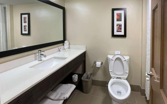 Comfort Inn Binghamton I-81