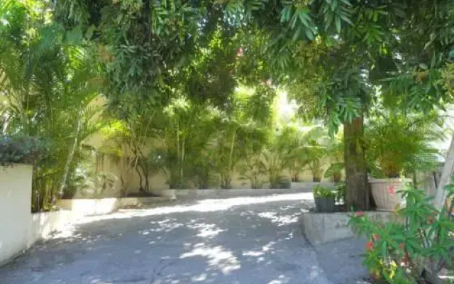 Les Hibiscus de la Rivière