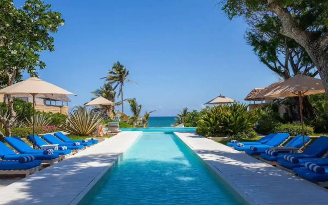 Medina Palms