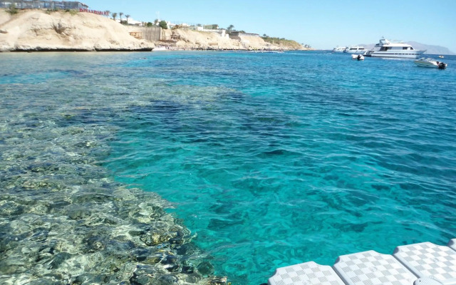 Shark Bay Oasis