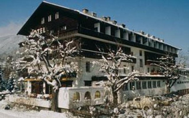 Hotel Steinacherhof in Steinach/Tirol