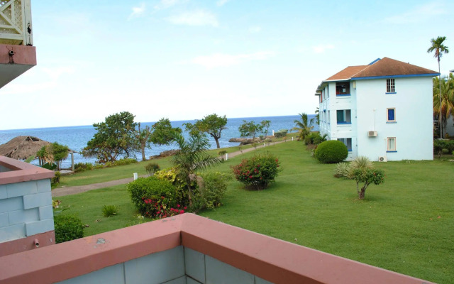Mango Beach Studio