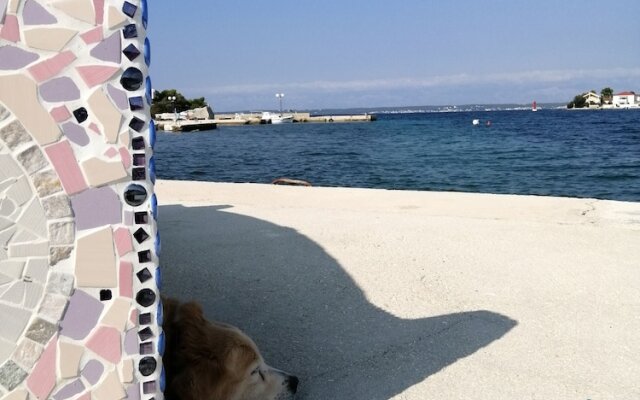 Detached House Miketa