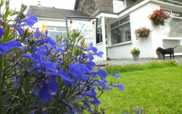 Bluebird Lodge and Waterhead Apartment