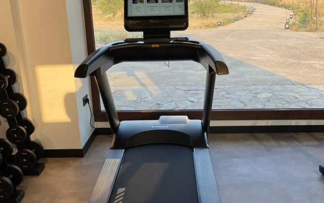 Hotel Hospes Palacio de Arenales & Spa