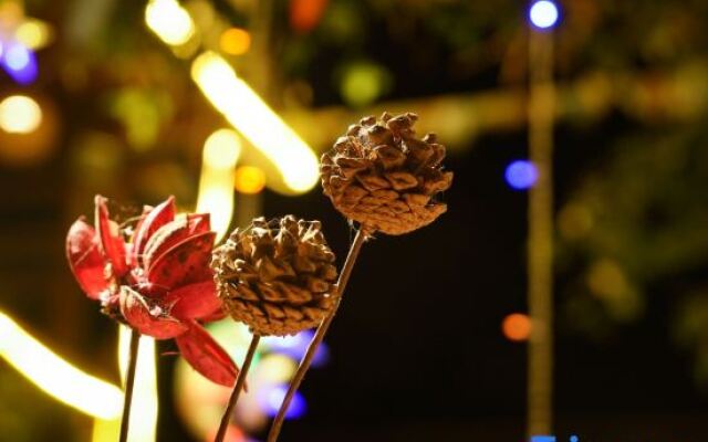 Qiuniang House Lugu Lake