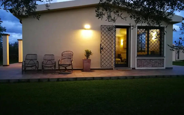 I due Ulivi - strada per La Caletta