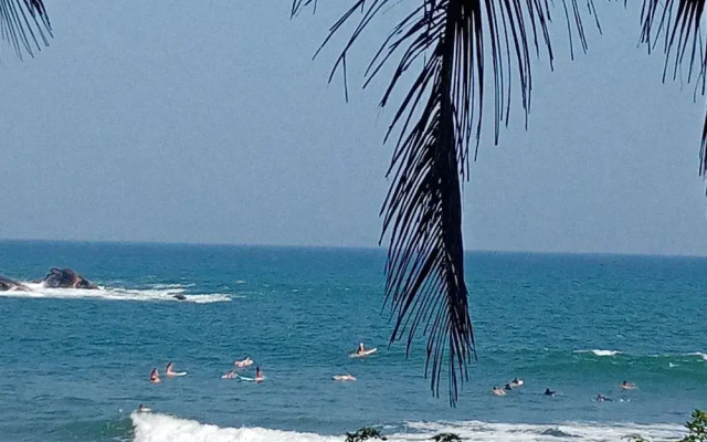 Surf Paradise Hotel