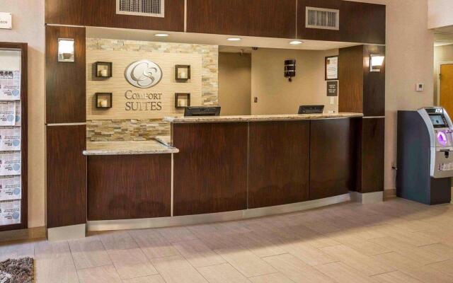 Comfort Suites Stafford Near Sugarland