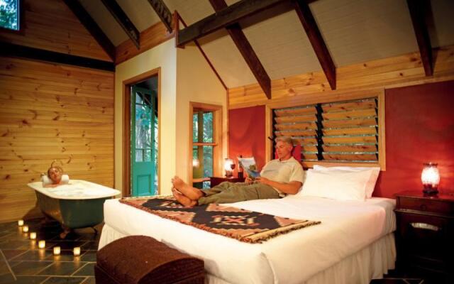 Rainforest Ranch