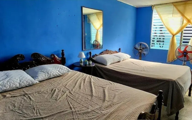 Hostal Cisne House